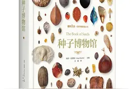 种子：植物寄给未来的包裹图片