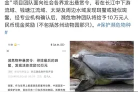 全国仅剩1只！悬赏10万寻找→图片