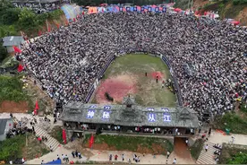 丰收季|从江：乡村斗牛庆丰收图片