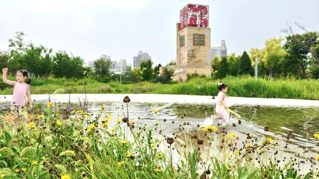 副中心30个公园变身“清凉秘境”！游船、浅滩、亲水乐园全都有