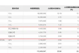 精伦电子去年预亏最高4600万元，营收踩线过亿元，提前确认收入?图片