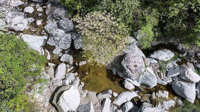 茶马古道上的高山之城，一面静界一面狂飙