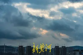 冬天来了！泉城气温下降落叶纷纷 | 镜相图片