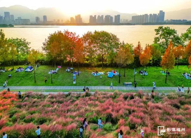 满屏粉红！福州美成童话！