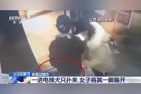 狗咬人被踢伤，狗主人索赔6万元！法院判了图片