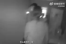 大乌龙！110求助119帮抓蛇结果发现是灯带图片