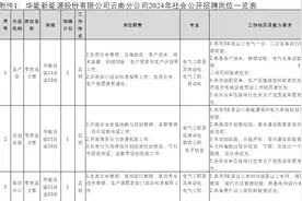 五险两金！华能新能源云南分公司招人了图片
