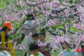 满目放春晴 南岳风光胜！清明小长假，南岳衡山共接待游客29.89万人次，同比增长39.48％图片