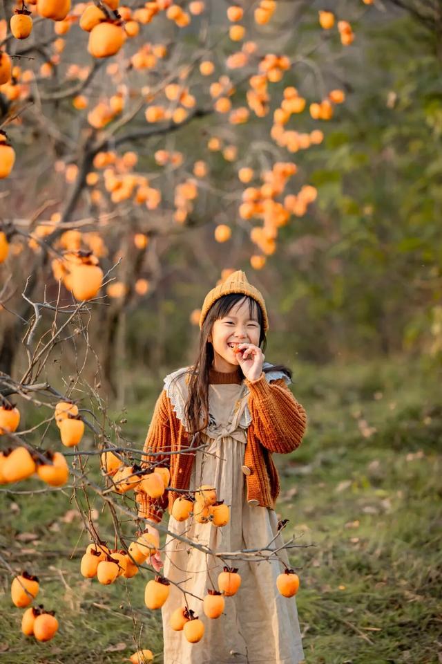 柿子红了！日照这片“柿”情画意，超出片！