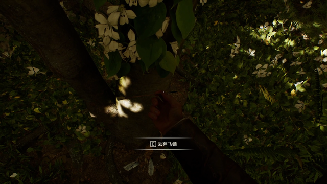 《夺宝奇兵：古老之圈》剧情图文流程全攻略