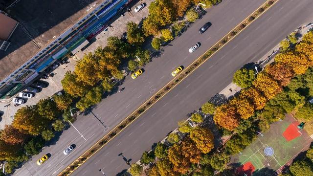 日子寻常，门前的风光不重样：记录湖南冬日限定的温柔