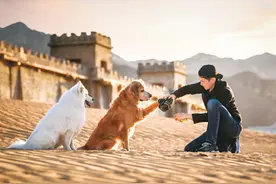 十几万张照片，记录人与动物美好瞬间（千行百业看海归）图片