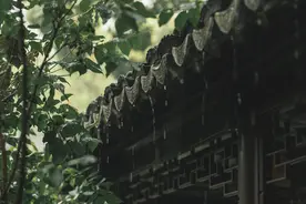 雨水至，春意浓，且看草木萌动图片