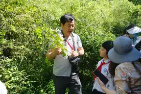 认识生物多样性，你我共参与图片