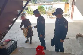 “野蜂蜜”低价出售？小心！已经有人被骗图片