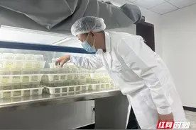 帮扶丰收季｜育良种，培良田，农业农村部助力龙山百合长得好、卖得响图片