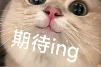 宝山这家新开的博物馆，太适合遛娃啦！打卡攻略收好~图片