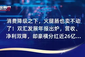 消费降级之下，火腿肠也卖不动了！双汇发展年报出炉，营收、净利双降，却豪横分红近26亿元，实控人万隆家族拿走18亿元视频封面