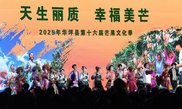 不到华坪来 不知芒果香