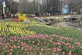 在青岛，“郁”你有约！图片