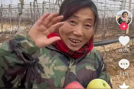 田间地头飙英文，“烟台苹果霞姐”火了之后图片