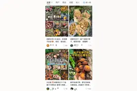 成都野生菌“打野”攻略走红 专家提醒：切勿随意采食，严重或致命图片