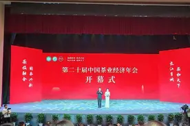 连续五年入选！保康上榜全国2024年度茶业重点县域名单图片