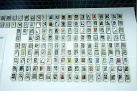 武汉宠物殡葬业兴起：殡葬师5年送走5000只图片