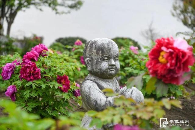 姹紫嫣红！福州进入春日高颜值时刻！