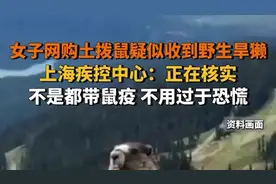女子网购土拨鼠当宠物疑似收到野生旱獭，上海疾控中心：正在核实图片