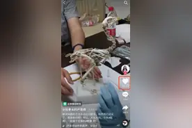 3厘米鱼骨能切500片？网友：看完她讲的我才信图片