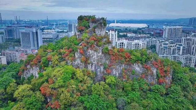 WOW，柳州超多赏秋打卡地，随手出大片！