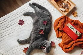 有些坏习惯并不坏图片