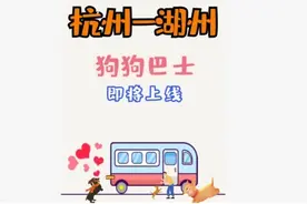 杭州到湖州首辆狗狗巴士即将上线？跟团费99元起图片