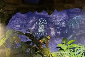 人均3888元！用大象粪便做甜品，一餐厅被立案调查图片