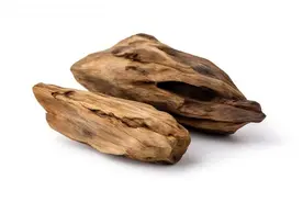 沉香 岂止于“香”图片