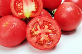 带您了解酸甜可口的西红柿图片