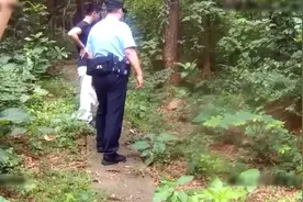 “巨型乌龟”在禅城出没，身份不简单！图片
