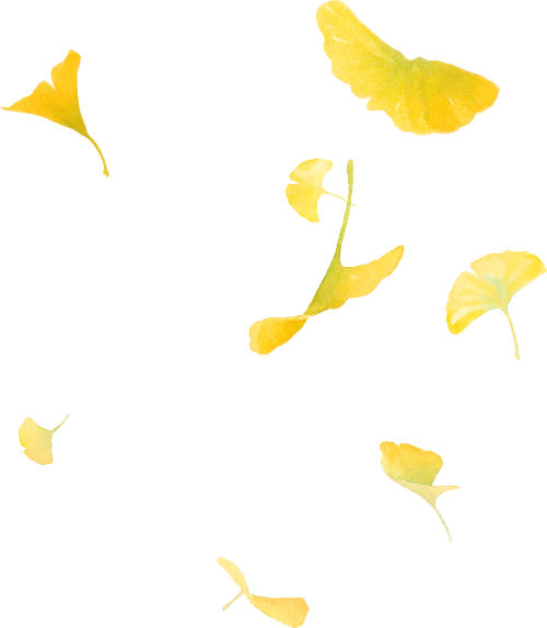 人从众嗨翻全场！带你直击大田广平银杏孝文化节～