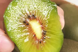 甜得走心，野味十足，云南、四川两大顶流水果，尝尝鲜！图片