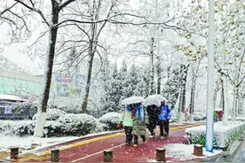 烟台市迎来新一轮降雪图片