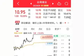 股价涨停！云南锗业回应：或与近期锗价大涨有关图片