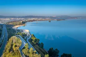 滇池芳菲 “候鸟”翩跹图片