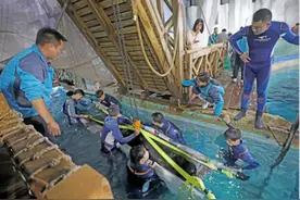 海豚天团今天搬家，舟山长乔海洋公园月底开园，活动期间14岁以下儿童免费游玩图片