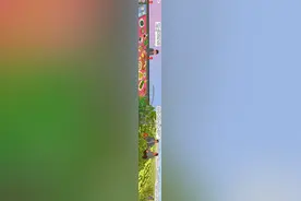 手绘长卷｜以匠心守初心  看印江乡村守护人图片