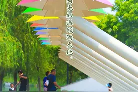 夏至，愿美好如约而至图片