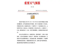 强风周末来袭！泰安官方提醒：减少非必要户外作业 视情决定停工停产图片