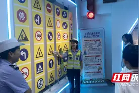 辰溪县：巧用“四字诀”提升校园安全治理水平图片