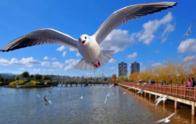 冬暖花开游云南丨红河，一场不期而遇的温暖邀约