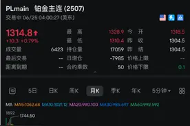 半年涨幅赛黄金，当年结婚人手一套的铂金首饰，又行了？图片